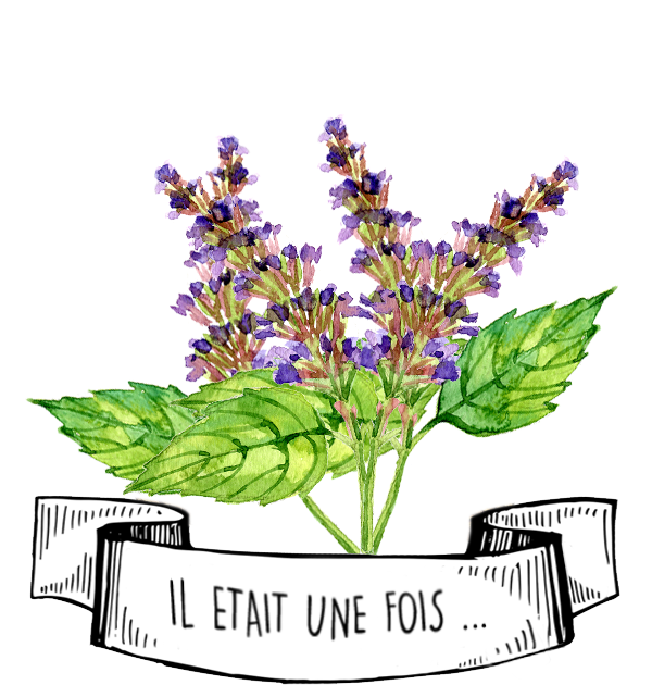 Olyaris - Huile Essentielle de Patchouli : Tout savoir